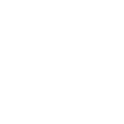 Case.02