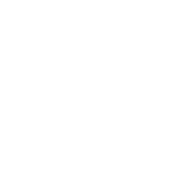 Case.03